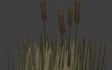 cattails and reeds for the swamp pack